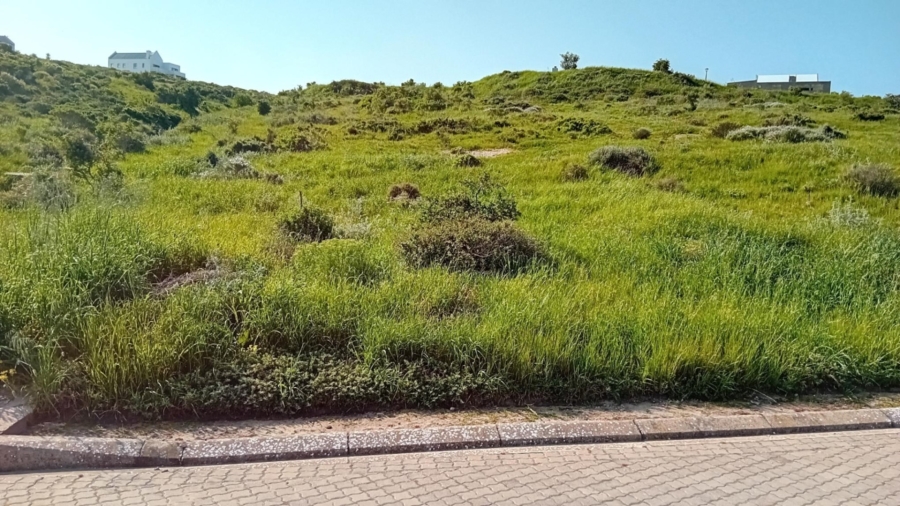 0 Bedroom Property for Sale in Hoogland Western Cape